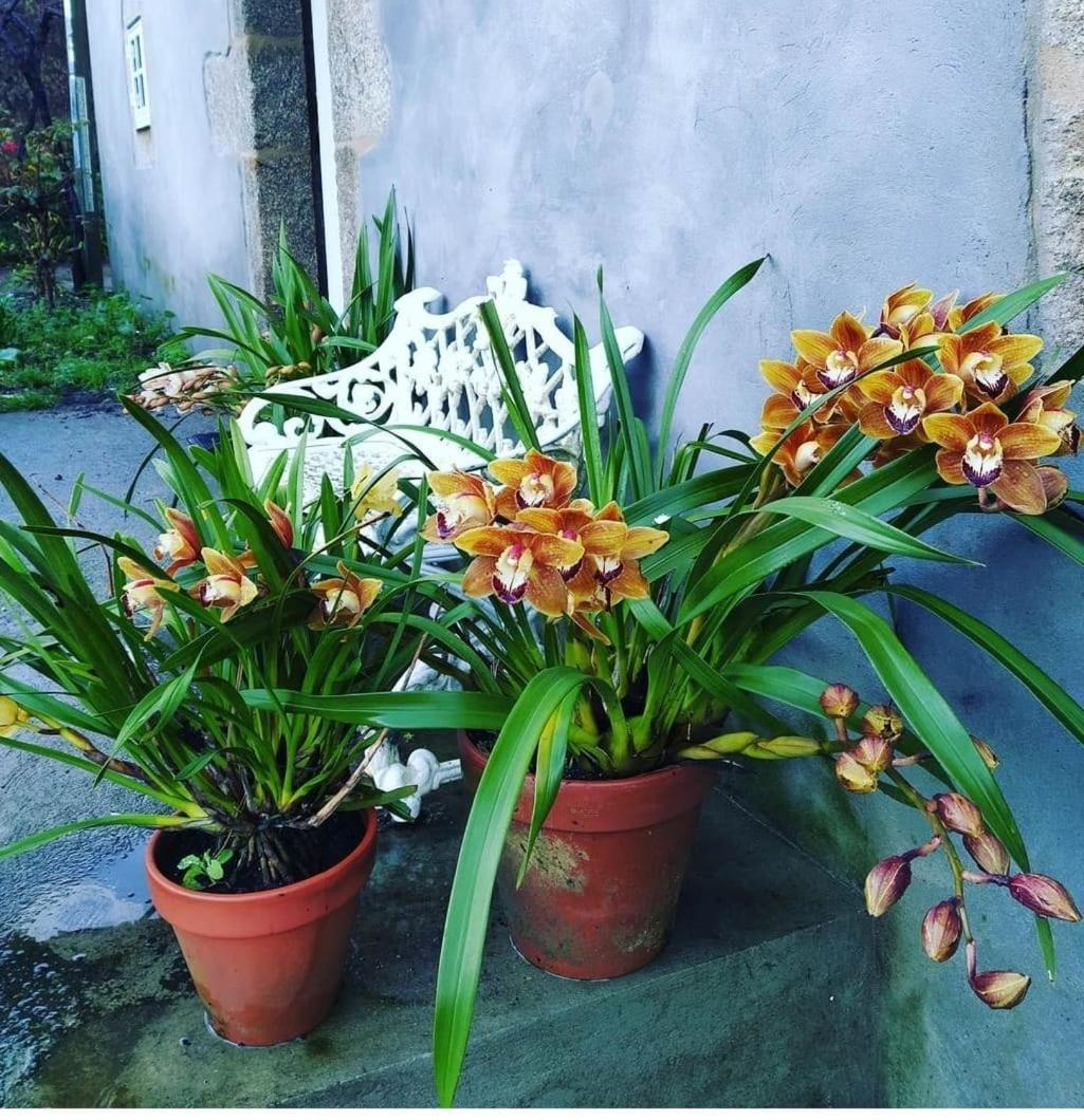 A Casa Da Parrula Apartment Сантяго де Компостела Екстериор снимка